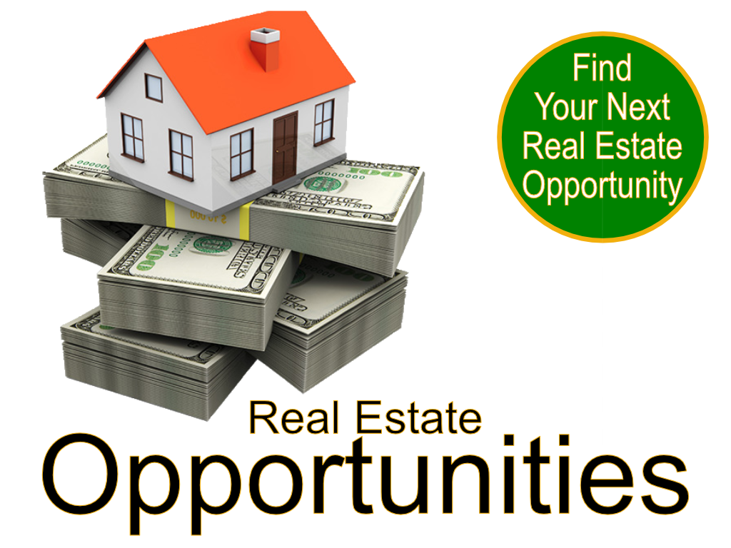 333 Real Estate International - 333 REI - How May We Help You? - Real Estate Opportunities